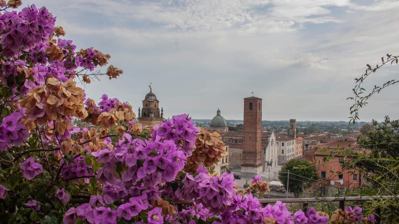 Hotel Ilaria Tour Pietrasanta Colonnata